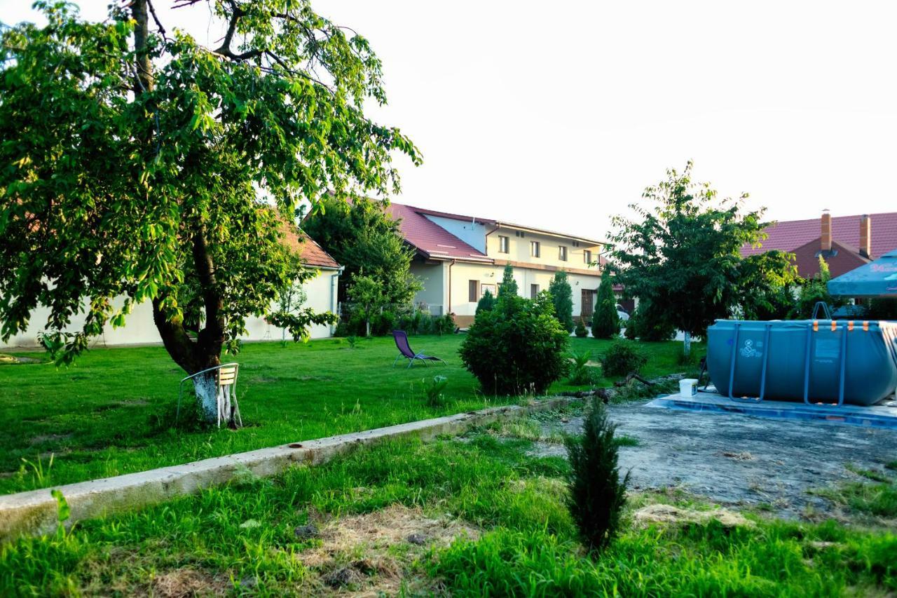 Pensiunea Marmis Riu Barbat Εξωτερικό φωτογραφία